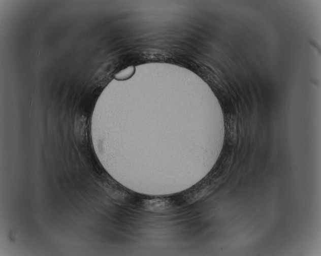 X0000091370511200709071329