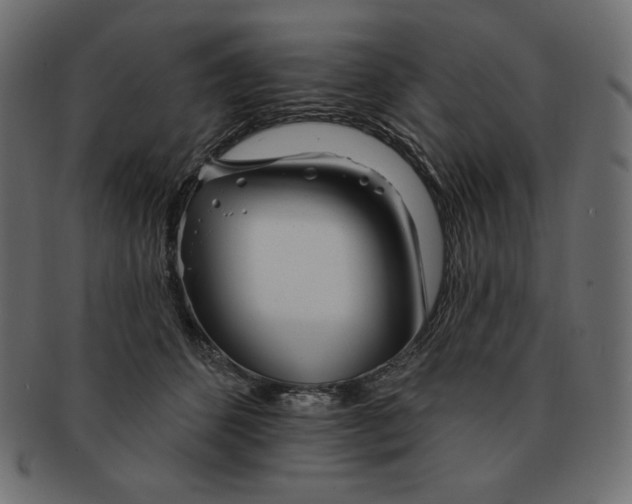 X0000091370512200709071329