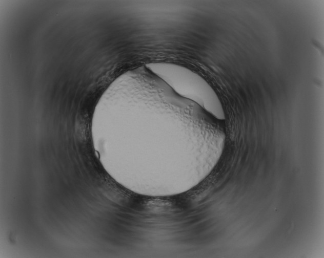 X0000091370515200709071329