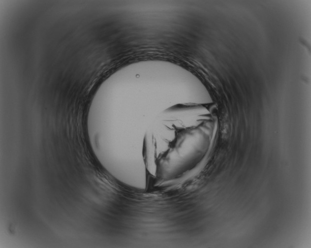 X0000091370516200709071329