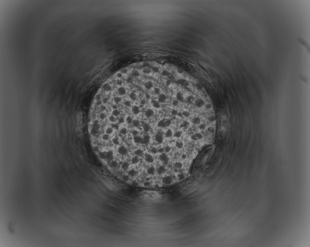 X0000091370519200709071329