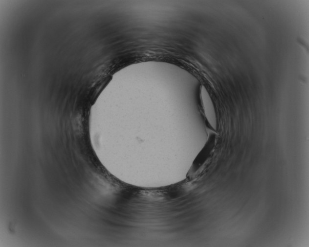 X0000091370520200709071329