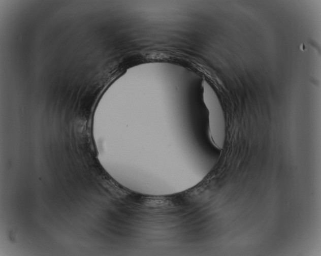 X0000091370521200709071329