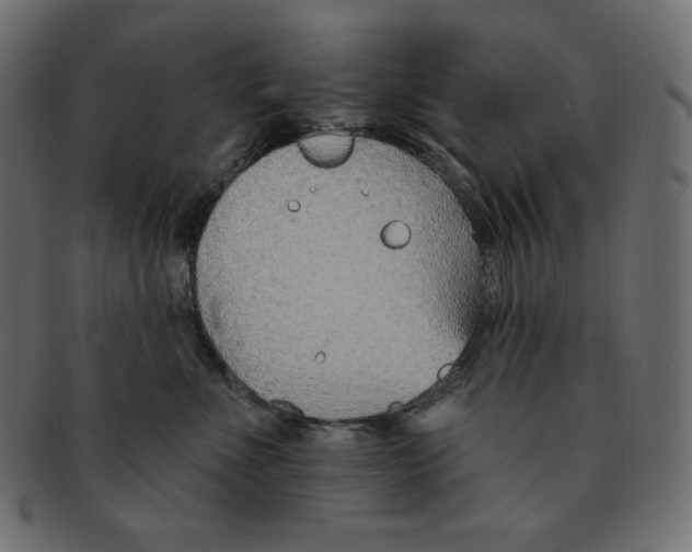 X0000091370523200709071329