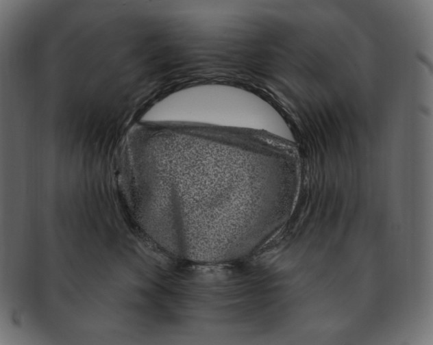 X0000091370524200709071329