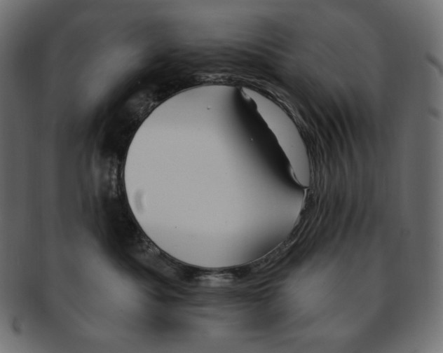 X0000091370525200709071329