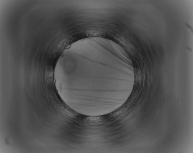 X0000091370526200709071329