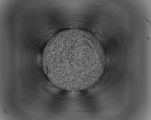 X0000091370527200709071329