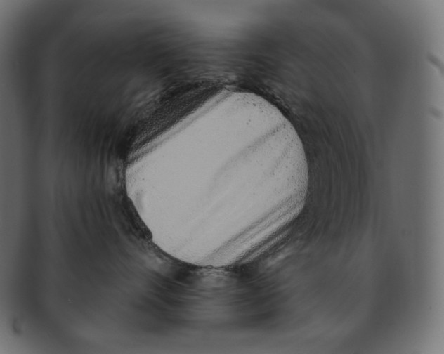 X0000091370528200709071329