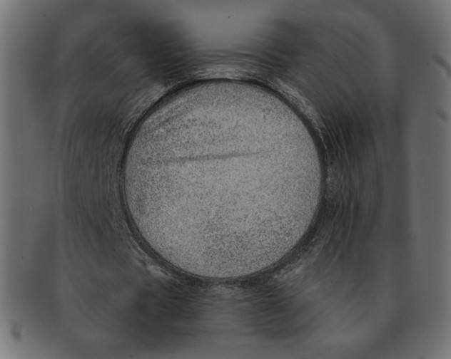 X0000091370529200709071328