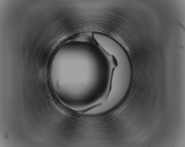 X0000091370530200709071328