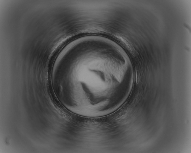 X0000091370531200709071328