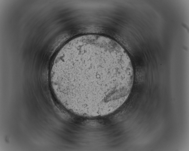 X0000091370534200709071328