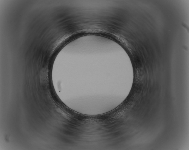 X0000091370535200709071328