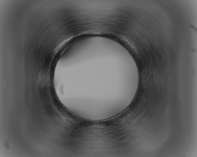 X0000091370536200709071328