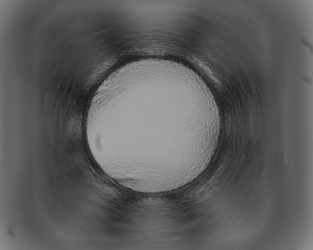 X0000091370537200709071328