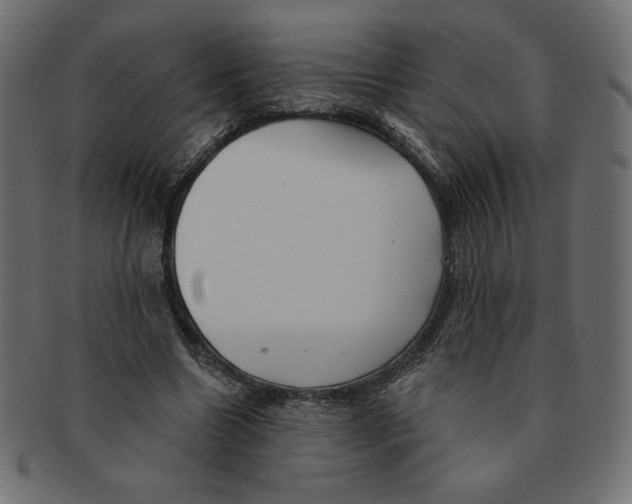 X0000091370538200709071328