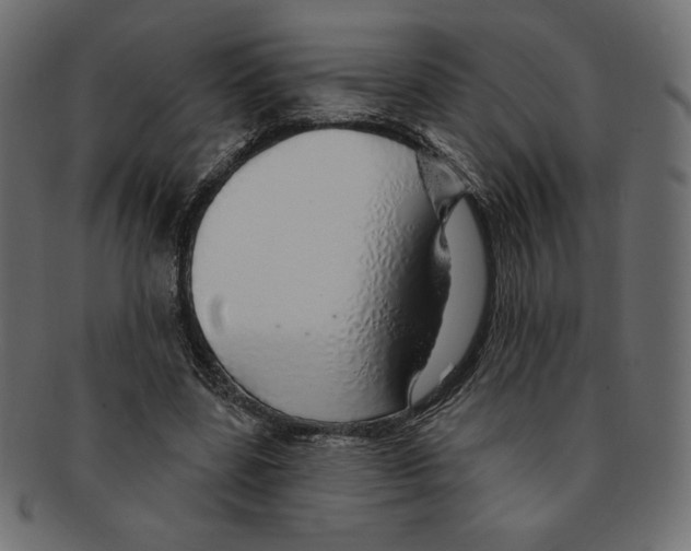 X0000091370539200709071328