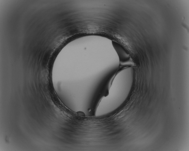 X0000091370540200709071328