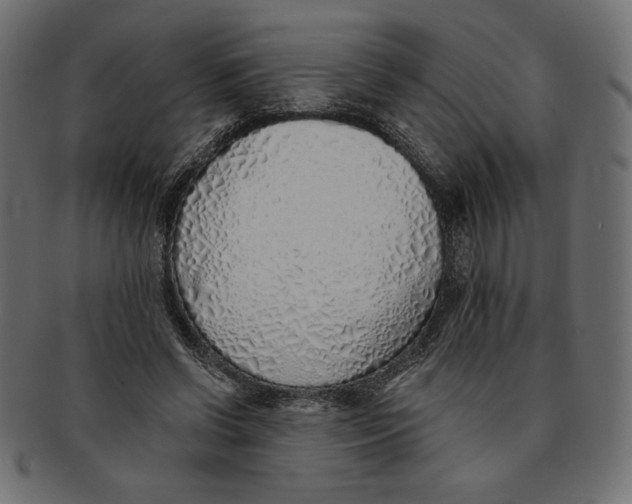 X0000091370542200709071328