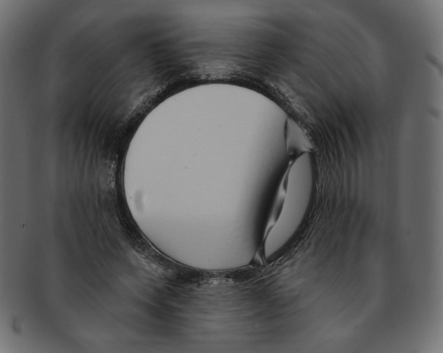 X0000091370543200709071328