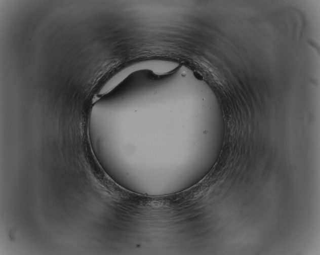 X0000091370546200709071328