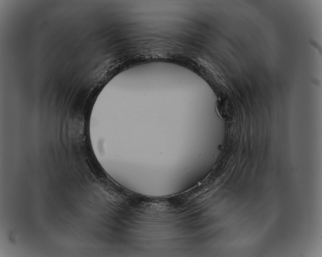 X0000091370548200709071328