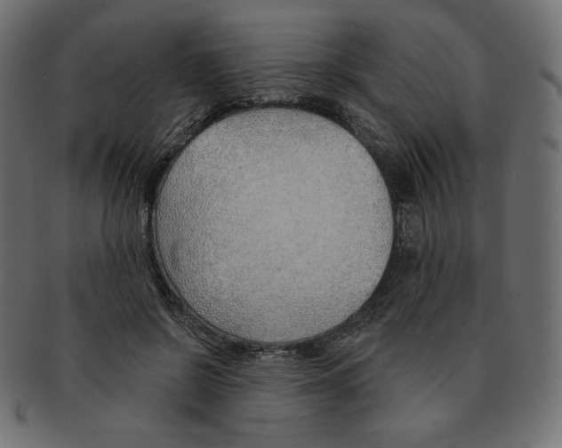 X0000091370550200709071328