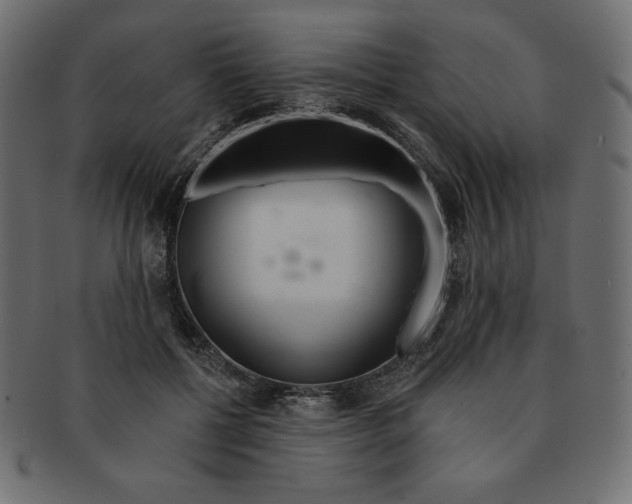 X0000091370552200709071328