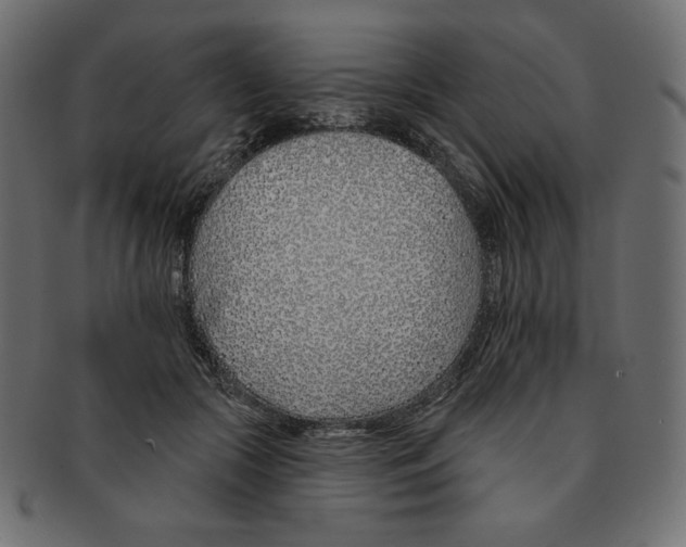 X0000091370553200709071328