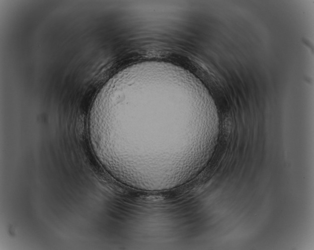 X0000091370554200709071328