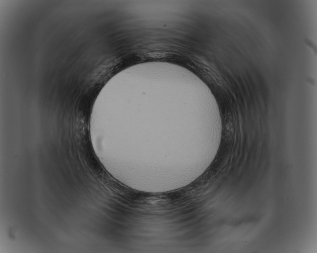 X0000091370555200709071328