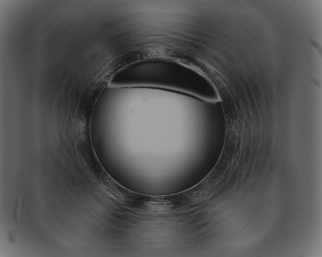 X0000091370556200709071328