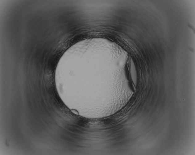 X0000091370557200709071328