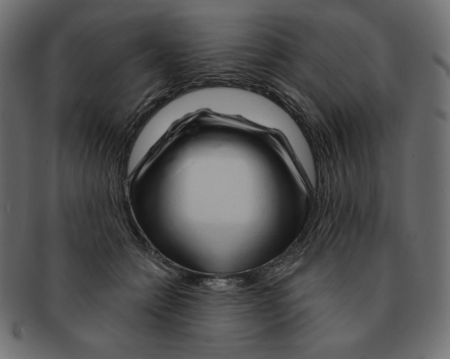 X0000091370558200709071328