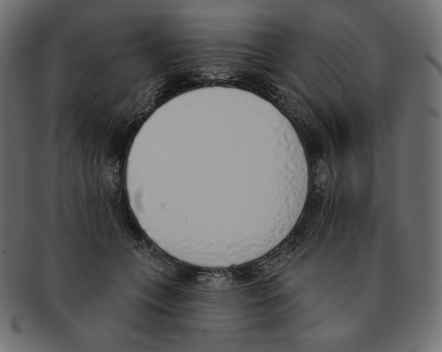 X0000091370559200709071328