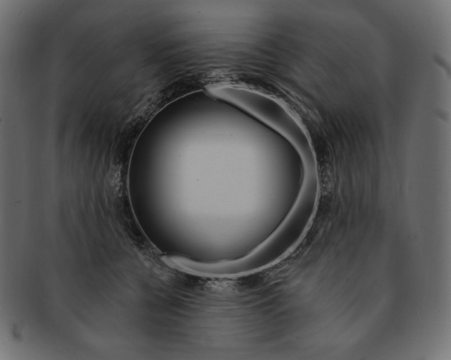 X0000091370560200709071328