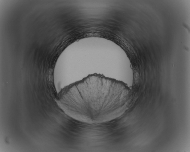 X0000091370561200709071328