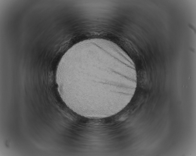 X0000091370563200709071329