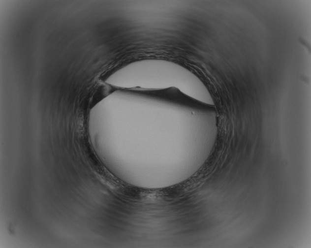 X0000091370564200709071329