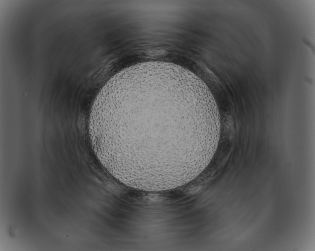 X0000091370565200709071329