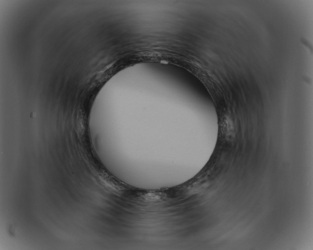 X0000091370566200709071329