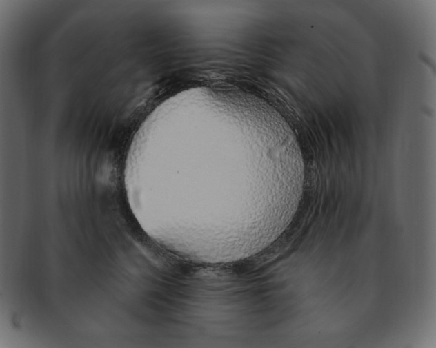 X0000091370568200709071329