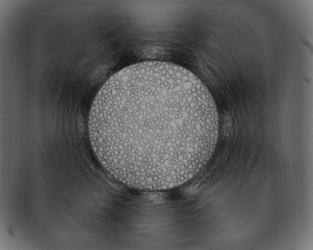 X0000091370569200709071329