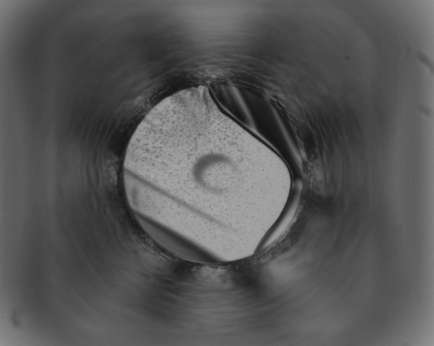 X0000091370570200709071329