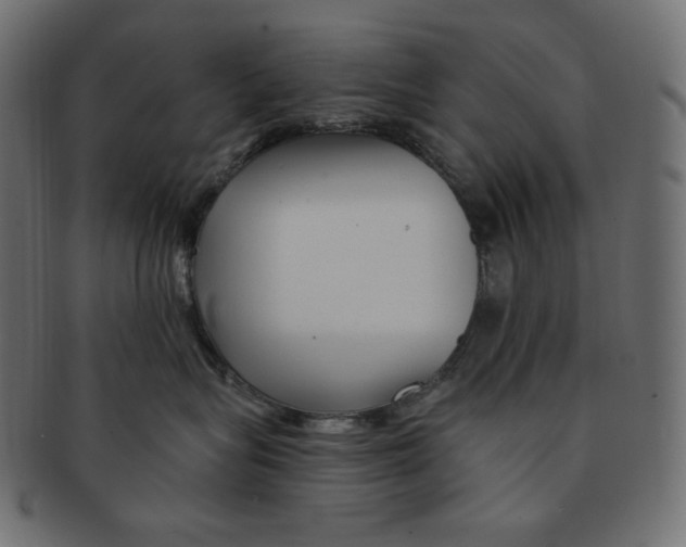 X0000091370575200709071329