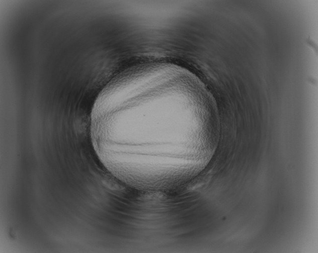 X0000091370576200709071329