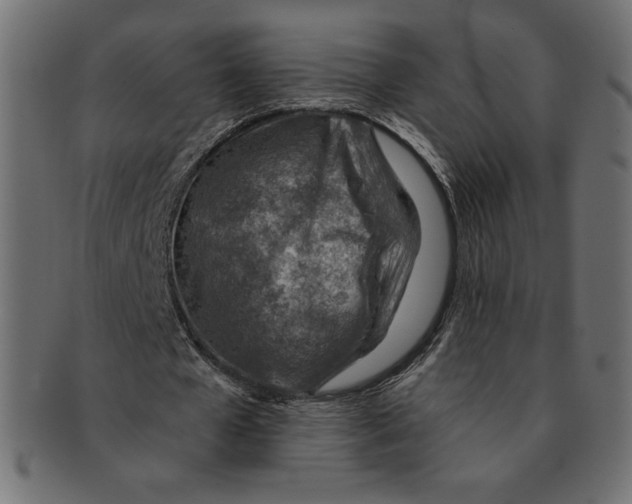 X0000091370577200709071328