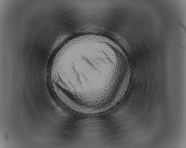 X0000091370578200709071328