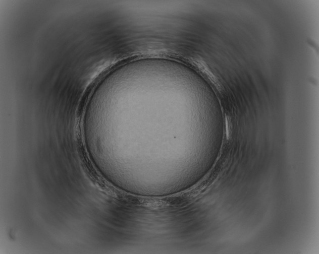 X0000091370579200709071328